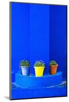 Potted Plants and Bright Blue Paintwork-Matthew Williams-Ellis-Mounted Photographic Print