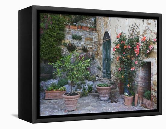 Potted Plants Decorate a Patio in Tuscany, Petroio, Italy-Dennis Flaherty-Framed Stretched Canvas