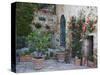 Potted Plants Decorate a Patio in Tuscany, Petroio, Italy-Dennis Flaherty-Stretched Canvas