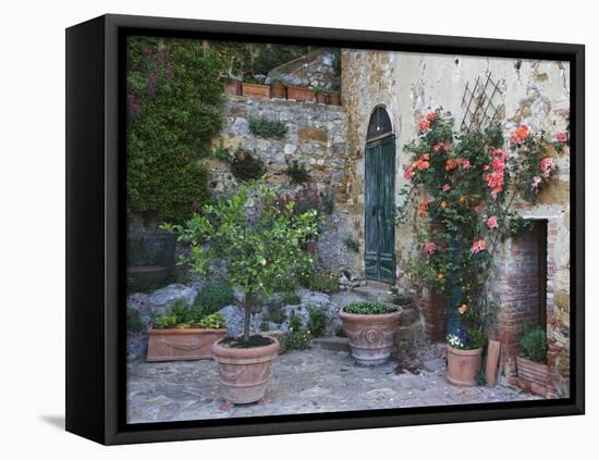 Potted Plants Decorate a Patio in Tuscany, Petroio, Italy-Dennis Flaherty-Framed Stretched Canvas