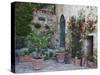 Potted Plants Decorate a Patio in Tuscany, Petroio, Italy-Dennis Flaherty-Stretched Canvas