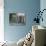 Potted Plants Decorate a Patio in Tuscany, Petroio, Italy-Dennis Flaherty-Photographic Print displayed on a wall