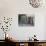 Potted Plants Decorate a Patio in Tuscany, Petroio, Italy-Dennis Flaherty-Photographic Print displayed on a wall