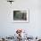 Potted Plants Decorate a Patio in Tuscany, Petroio, Italy-Dennis Flaherty-Framed Photographic Print displayed on a wall