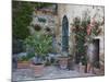 Potted Plants Decorate a Patio in Tuscany, Petroio, Italy-Dennis Flaherty-Mounted Photographic Print