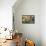 Potted Plants on the Wall of a House, Valldemossa, Mallorca, Spain-Peter Thompson-Framed Stretched Canvas displayed on a wall