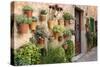 Potted Plants on the Wall of a House, Valldemossa, Mallorca, Spain-Peter Thompson-Stretched Canvas