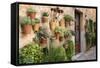 Potted Plants on the Wall of a House, Valldemossa, Mallorca, Spain-Peter Thompson-Framed Stretched Canvas