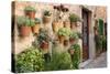 Potted Plants on the Wall of a House, Valldemossa, Mallorca, Spain-Peter Thompson-Stretched Canvas