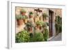 Potted Plants on the Wall of a House, Valldemossa, Mallorca, Spain-Peter Thompson-Framed Photographic Print