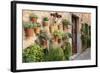 Potted Plants on the Wall of a House, Valldemossa, Mallorca, Spain-Peter Thompson-Framed Photographic Print