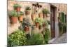 Potted Plants on the Wall of a House, Valldemossa, Mallorca, Spain-Peter Thompson-Mounted Photographic Print