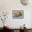 Potted Plants on the Wall of a House, Valldemossa, Mallorca, Spain-Peter Thompson-Framed Photographic Print displayed on a wall