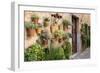 Potted Plants on the Wall of a House, Valldemossa, Mallorca, Spain-Peter Thompson-Framed Photographic Print