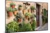 Potted Plants on the Wall of a House, Valldemossa, Mallorca, Spain-Peter Thompson-Mounted Photographic Print