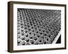 Potted Plants-null-Framed Photographic Print