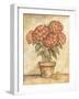 Potted Red Hydrangea-Tina Chaden-Framed Art Print