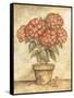 Potted Red Hydrangea-Tina Chaden-Framed Stretched Canvas