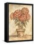 Potted Red Hydrangea-Tina Chaden-Framed Stretched Canvas