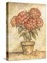 Potted Red Hydrangea-Tina Chaden-Stretched Canvas