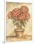 Potted Red Hydrangea-Tina Chaden-Framed Art Print