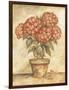 Potted Red Hydrangea-Tina Chaden-Framed Art Print