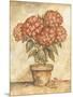 Potted Red Hydrangea-Tina Chaden-Mounted Art Print