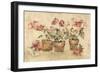 Potted Roses II-Cheri Blum-Framed Art Print