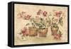 Potted Roses II-Cheri Blum-Framed Stretched Canvas