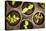 Potted Seedlings Growing in Biodegradable Peat Moss Pots from Above-elenathewise-Stretched Canvas