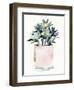 Potted Succulent IV-Jennifer Parker-Framed Art Print