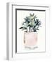 Potted Succulent IV-Jennifer Parker-Framed Art Print