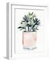 Potted Succulent IV-Jennifer Parker-Framed Art Print