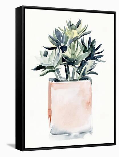 Potted Succulent IV-Jennifer Parker-Framed Stretched Canvas