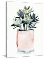 Potted Succulent IV-Jennifer Parker-Stretched Canvas