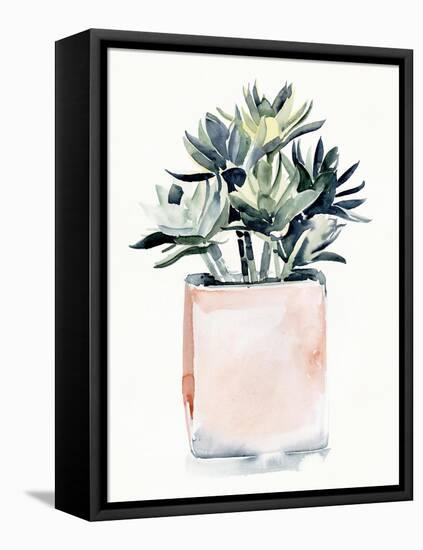 Potted Succulent IV-Jennifer Parker-Framed Stretched Canvas
