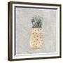 Potted Succulents 1-Kimberly Allen-Framed Premium Giclee Print