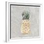 Potted Succulents 1-Kimberly Allen-Framed Premium Giclee Print