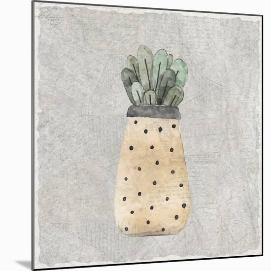 Potted Succulents 1-Kimberly Allen-Mounted Premium Giclee Print