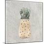 Potted Succulents 1-Kimberly Allen-Mounted Premium Giclee Print