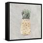 Potted Succulents 1-Kimberly Allen-Framed Stretched Canvas