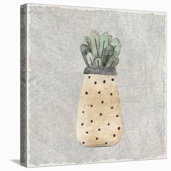 Potted Succulents 1-Kimberly Allen-Stretched Canvas