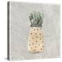Potted Succulents 1-Kimberly Allen-Stretched Canvas