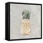 Potted Succulents 1-Kimberly Allen-Framed Stretched Canvas