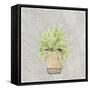 Potted Succulents 2-Kimberly Allen-Framed Stretched Canvas