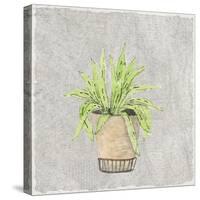Potted Succulents 2-Kimberly Allen-Stretched Canvas