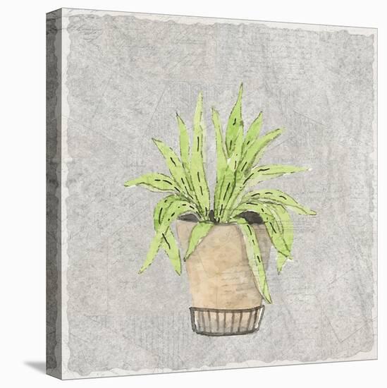 Potted Succulents 2-Kimberly Allen-Stretched Canvas