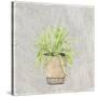 Potted Succulents 2-Kimberly Allen-Stretched Canvas