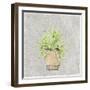 Potted Succulents 2-Kimberly Allen-Framed Art Print