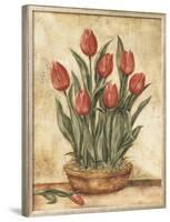 Potted Tulips-Tina Chaden-Framed Art Print